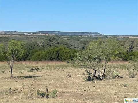 Lot Tbd County Road 1255, Lampasas, TX 76550