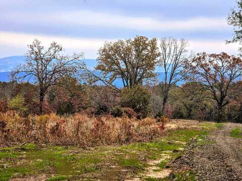 5 Acres County Rd D1610, Muse, OK 74434