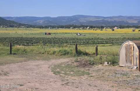 Tbd E Fleetwood Drive, Springerville, AZ 85938