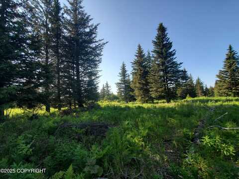 17435 Chefornak Street, Ninilchik, AK 99639
