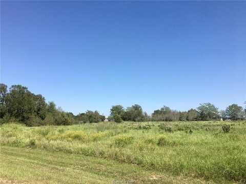 Tbd Scarborough Drive, Iola, TX 77861