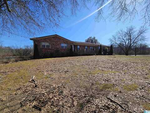 4672 US HIGHWAY 11, SPRINGVILLE, AL 35146