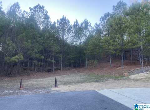 495 SCENIC VIEW LANE, BIRMINGHAM, AL 35244