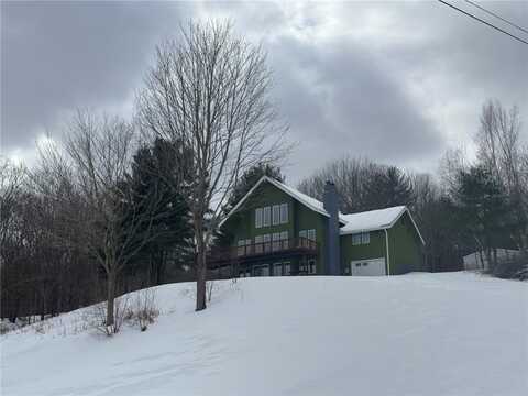 4191 Pine Swamp Road, Sidney, NY 13839