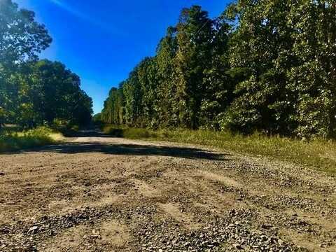 0 W South Ridge Road, Bigelow, AR 72016