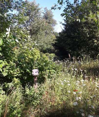 162 Acres Yell County, Bluffton, AR 72827