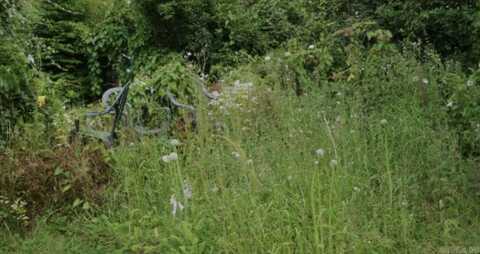 157.81 Acres Yell County, Bluffton, AR 72827