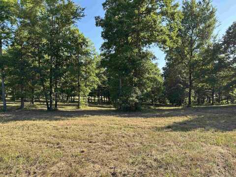 Lot 1 Grant County Road 762, Sheridan, AR 72150