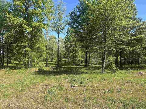 Lot 1 Grant County Road 762, Sheridan, AR 72150