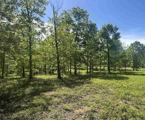 Lot 1 Grant County Road 762, Sheridan, AR 72150