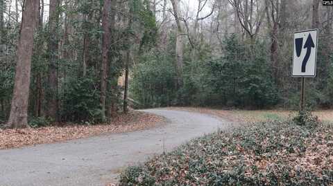 291 Big Timber Drive, Lexington, SC 29073