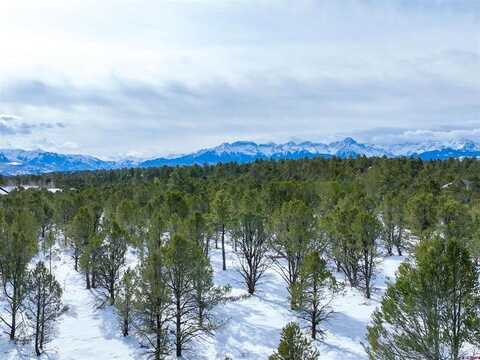 Lot 28 Fisher Canyon Drive, Ridgway, CO 81432