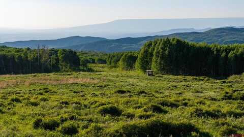 TBD Wapiti Trail, Montrose, CO 81401