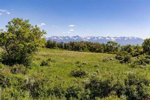TBD Wapiti Trail, Montrose, CO 81401