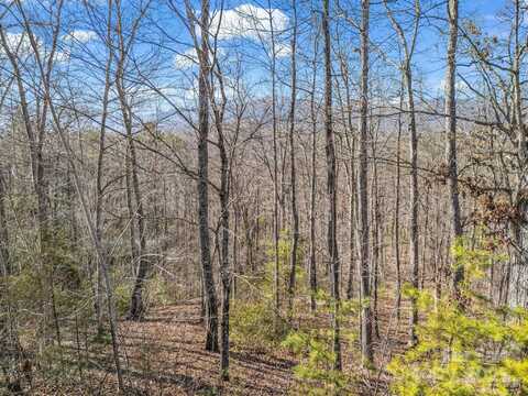 Golden Ridge Drive, Lake Lure, NC 28746