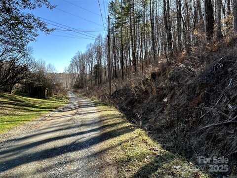 99999 Lloyd Drive, Mars Hill, NC 28754