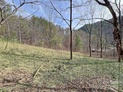 2182-b Meadow Fork Road, Hot Springs, NC 28743