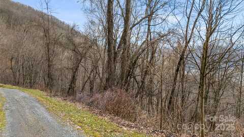 Tbd Live Oak Loop, Waynesville, NC 28785