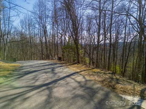 99999 Churchill Downs Drive, Fairview, NC 28730