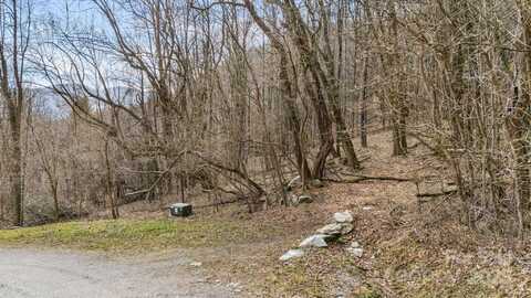 Live Oak Loop unit: 93/95, Waynesville, NC 28785