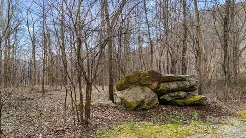 Spotted Fawn Lane unit: 79, Waynesville, NC 28785