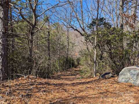 94 Trillium Lane unit: C-2, Black Mountain, NC 28711