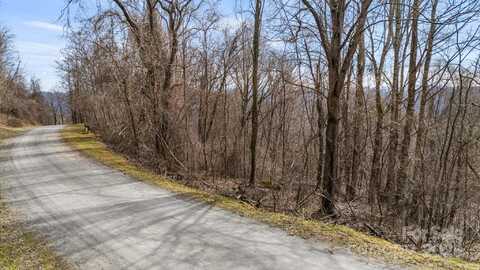 Live Oak Loop unit: 67, Waynesville, NC 28785