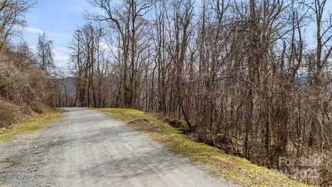 Live Oak Loop unit: 65, Waynesville, NC 28785