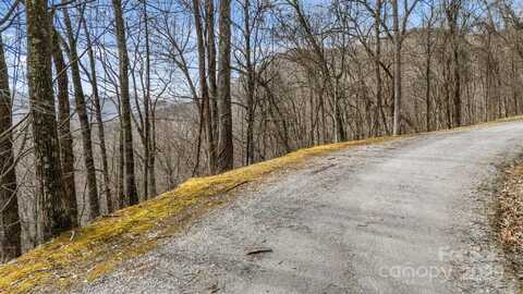 Tbd Live Oak Loop, Waynesville, NC 28785