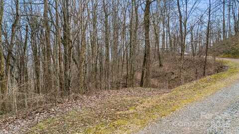 Wolverine Court unit: 42, Waynesville, NC 28785