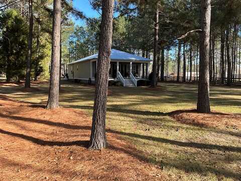 117 Lakeview Dr, Fort Gaines, GA 39851