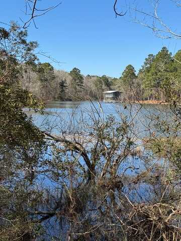 0 Lot 10 Hidden Lagoon Estates, Fort Gaines, GA 39851