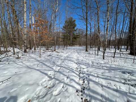 10 V/L E Curtis Road, Midland, MI 48642