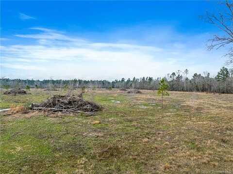 0 Conway Rosteet Road Tract 2, Ragley, LA 70657