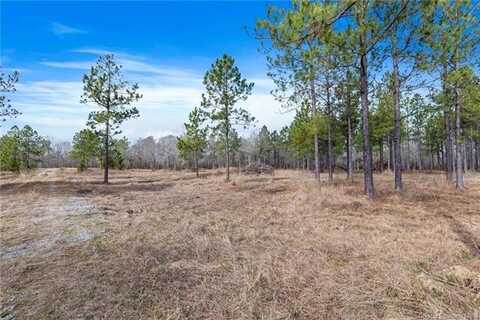 0 Conway Rosteet Road Tract 3, Ragley, LA 70657