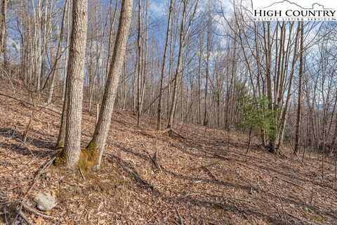 Lot 52 Pinnacle Drive, Elk Park, NC 28604