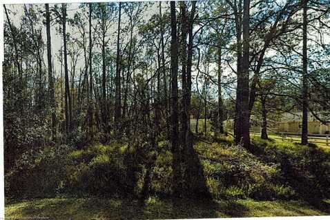 Lot 29 Deedra Drive, Westley Chapel, FL 33544