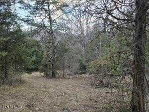 4123 Panther Creek Rd, Sneedville, TN 37869