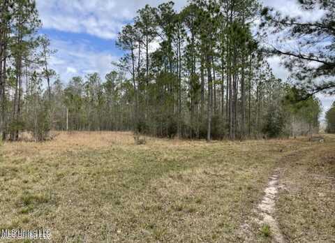 Ms 43 Parcel 1, Kiln, MS 39556