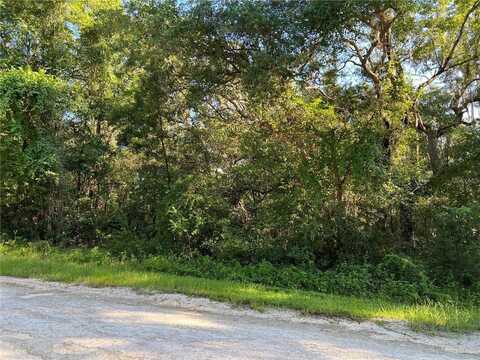 34085 ARROWROCK STREET, WEBSTER, FL 33597