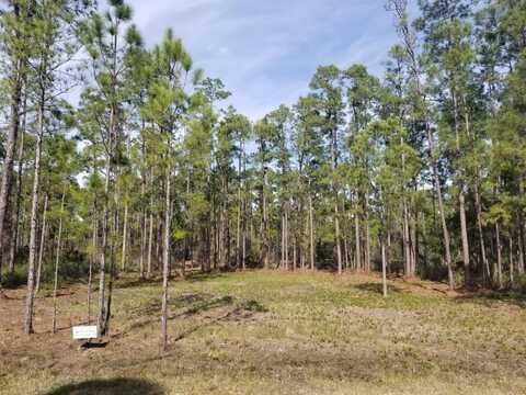 ALBA DRIVE, INDIAN LAKE ESTATES, FL 33855