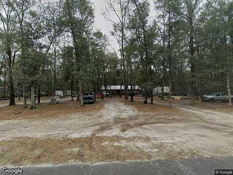 Chokeberry, MIDDLEBURG, FL 32068