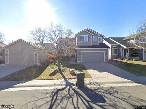 English Sparrow, HIGHLANDS RANCH, CO 80129