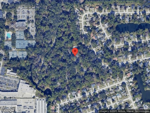 Big Tree, JACKSONVILLE, FL 32257