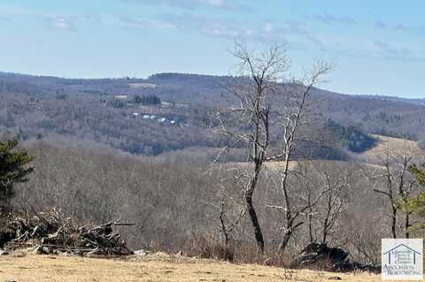 00 TBD Mountain View, Meadows of Dan, VA 24120