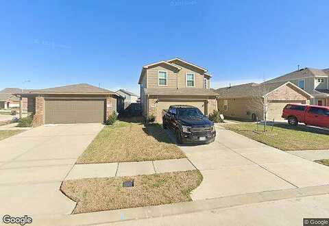 Ryegrass, HOCKLEY, TX 77447