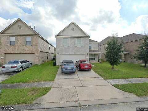 Downey Violet, HOUSTON, TX 77044