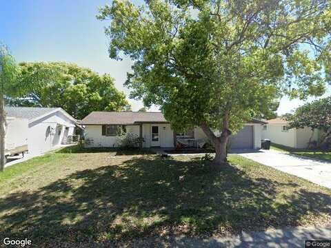 Datura, NEW PORT RICHEY, FL 34653