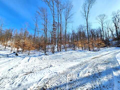 Lot 5 Goat Hollow Estates, Martinsville, IN 46151