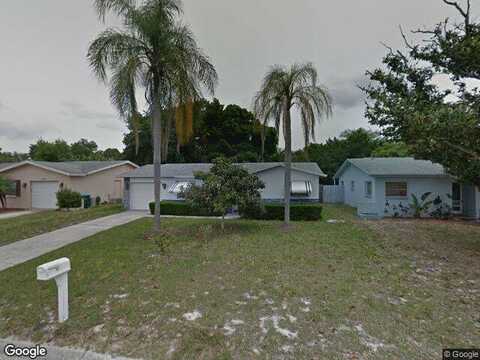 Scott, PALM HARBOR, FL 34684